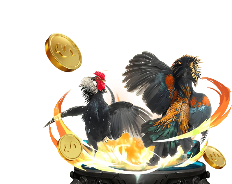 Hình ảnh khuyến mãi hoàn trả hàng ngày cho cá cược đá gà 789win app