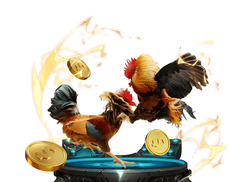 Hình ảnh khuyến mãi nạp tiền lần đầu cho người chơi đá gà 789win app